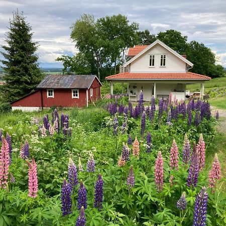Ny Flintarp Villa Laholm Ngoại thất bức ảnh