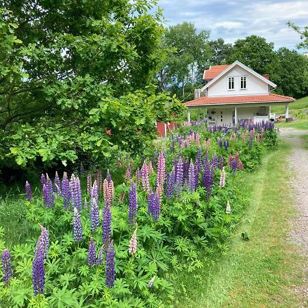 Ny Flintarp Villa Laholm Ngoại thất bức ảnh