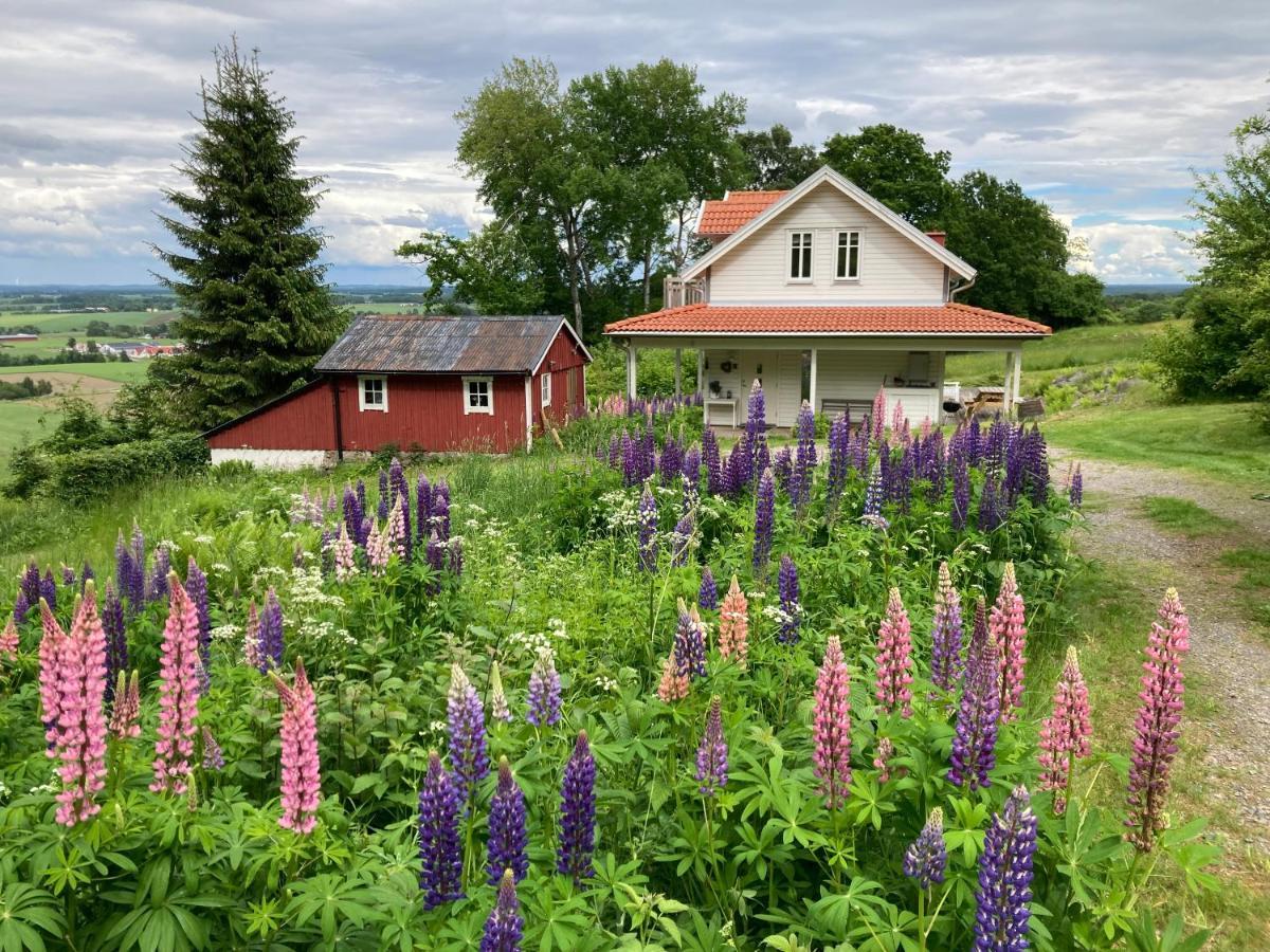 Ny Flintarp Villa Laholm Ngoại thất bức ảnh